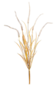 31" Foxtail Grass Onion Spray  Beige/Brown