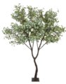 9 Foot Eucalyptus Tree with flat steel base