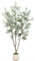 80" Mediterranean Olive Tree In White Decorative Planter