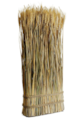 23.6" Preserved Wheat/Grass Standing Twig Natural