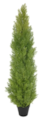 5' Outdoor UV Rated Potted Light Green Cedar Tree
