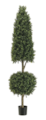 6 Foot Cone/Ball Boxwood Topiary in Plastic Pot Two Tone Green Indoor/Outdoor