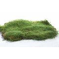 6 inches to 8 inches SHEET MOSS pcs covers 20 SQFT