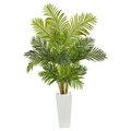 68" Hawaii Palm Artificial Tree in Tall White Planter