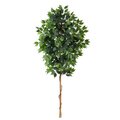 6' Ficus Artificial Tree (No Pot)