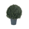 30" Tall 22" Wide Outdoor UV Pond Cypress Ball in Pot