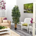 5.5' Phoenix Artificial Palm tree with Natural Trunk