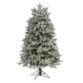 5' Flocked Colorado Mountain Fir Artificial Christmas Tree with 300 Warm White Microdot (Multifun...
