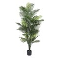 72" UV Robellini Palm Tree w/57 Lvs