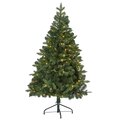 5' Grand Teton Spruce Flat Back Artificial Christmas Tree with 120 Clear LED Lights and 514 Bendable Branches