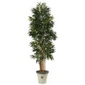6’ Phoenix Artificial Palm Tree In Decorative Planter