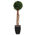 64” English Ivy Single Ball Artificial Topiary Tree In Black Planter UV Resistant (Indoor/Outdoor)