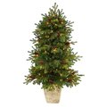 4’ Yukon Mountain Fir Artificial Christmas Tree With 100 Clear Lights, Pine Cones And 386 Bendable Branches In Country White Planter