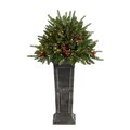 4' Holiday Artificial Christmas Plant Pre-Lit and Glittered on Pedestal with 150 Multicolored LED lights