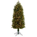 5' Slim Colorado Mountain Spruce Artificial Christmas Tree with 250 (Multifunction with Remote Control) Warm White Micro LED Lights with Instant Connect Technology and 522 Bendable Branches
