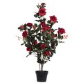 45" Red Rose Plant in Pot