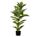 38" Potted Dieffenbachia Real Touch