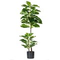 50" Potted Dieffenbachia Real Touch