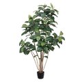 6' Potted Rubber Tree W/185 Lvs-Green
