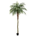 9' Potted Phoenix Palm Tree 1144Lvs