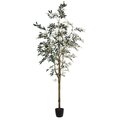 8' Potted Olive Tree 1449Lvs