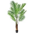 6' Potted Areca Palm 567 Leaves