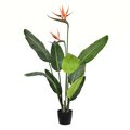 3' Potted Bird of Paradise Palm 9 Leaves