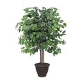 4' Ficus Bush in Brown Plastic Pot