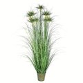 60" Green Cyperus Grass In Iron Pot