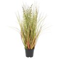 24" Green and Brown Grass in Pot