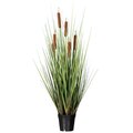 36" Grass with 6 Cattails Potted