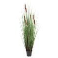 48" Grass with 8 Cattails Potted