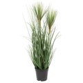 24" Green Brushed Grass in Pot