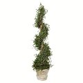 50" Potted Angel Topiary with pot shown
