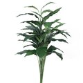 3 feet Spathiphyllum Plant  W/40 Lvs