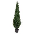 6' Potted Cedar Tree UV