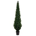 8' Cedar Tree In Pot UV