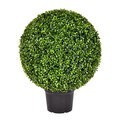 24 inches Outdoor Boxwood Ball In Pot UV