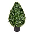 24" Boxwood Teardrop Shaped In Pot UV