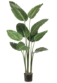 5 feet Bird of  Artificial  Paradise Plant in Plastic Pot Green