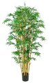 7 FOOT ROYAL BAMBOO TREE