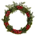 20" Iced Pine and Berries Artificial Christmas Wreath