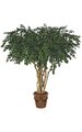8' Ficus Tree - Natural Trunks - 5,472 Leaves - Green - Weighted Base - FIRE RETARDANT - Custom Made