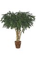 8 feet Ficus Tree - Natural Trunks - 5,472 Leaves - Green - Weighted Base - FIRE RETARDANT - Custom Made