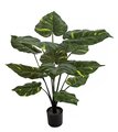 32" Potted Variegated Pothos Plant