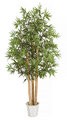 6 Foot Outdoor Bamboo tree with Natural Canes