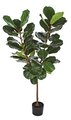 5' Fiddle Leaf Fig Tree on Single Trunk natural touch foliage