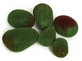 Moss Stone - 6 Pieces Per Bag - Green