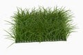 20 INCH X 20 INCH 8 inch Tall DARK GREEN PLASTIC WILD LONG GRASS
