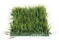 20 INCH X 20 INCH X 7 INCH Plastic Sword GRASS Mat Green